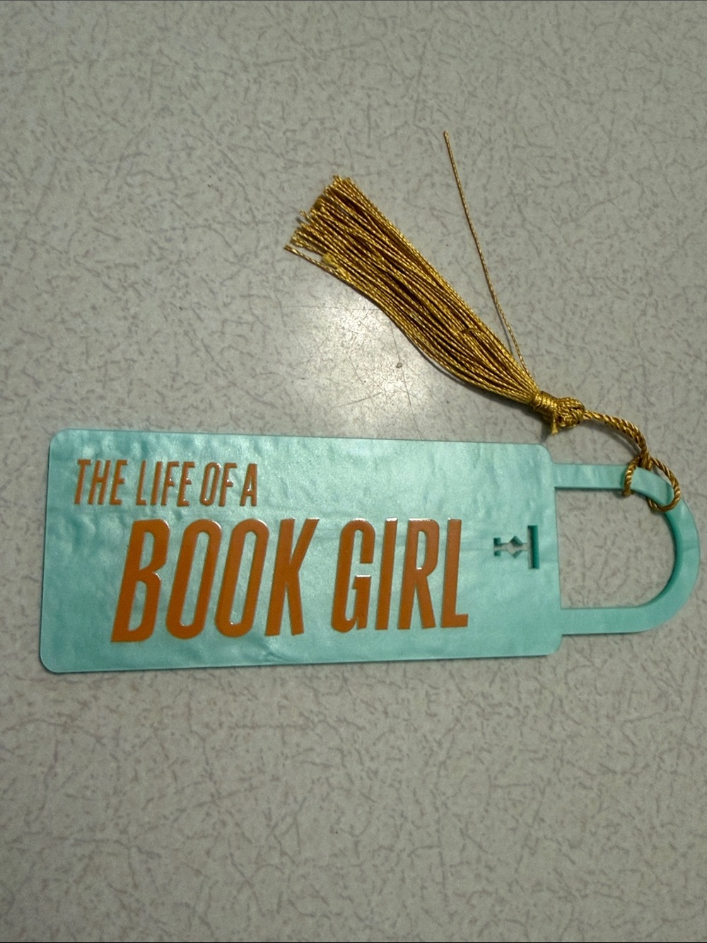 Swiftie Acrylic Bookmark Bookshelf Decor Taylor Swift Life of a Book Girl TLOAS
